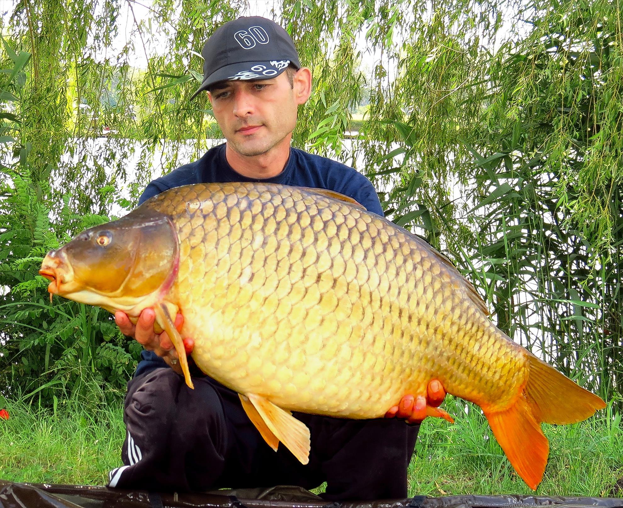 Palici - 004---img5375-1266-f.jpg